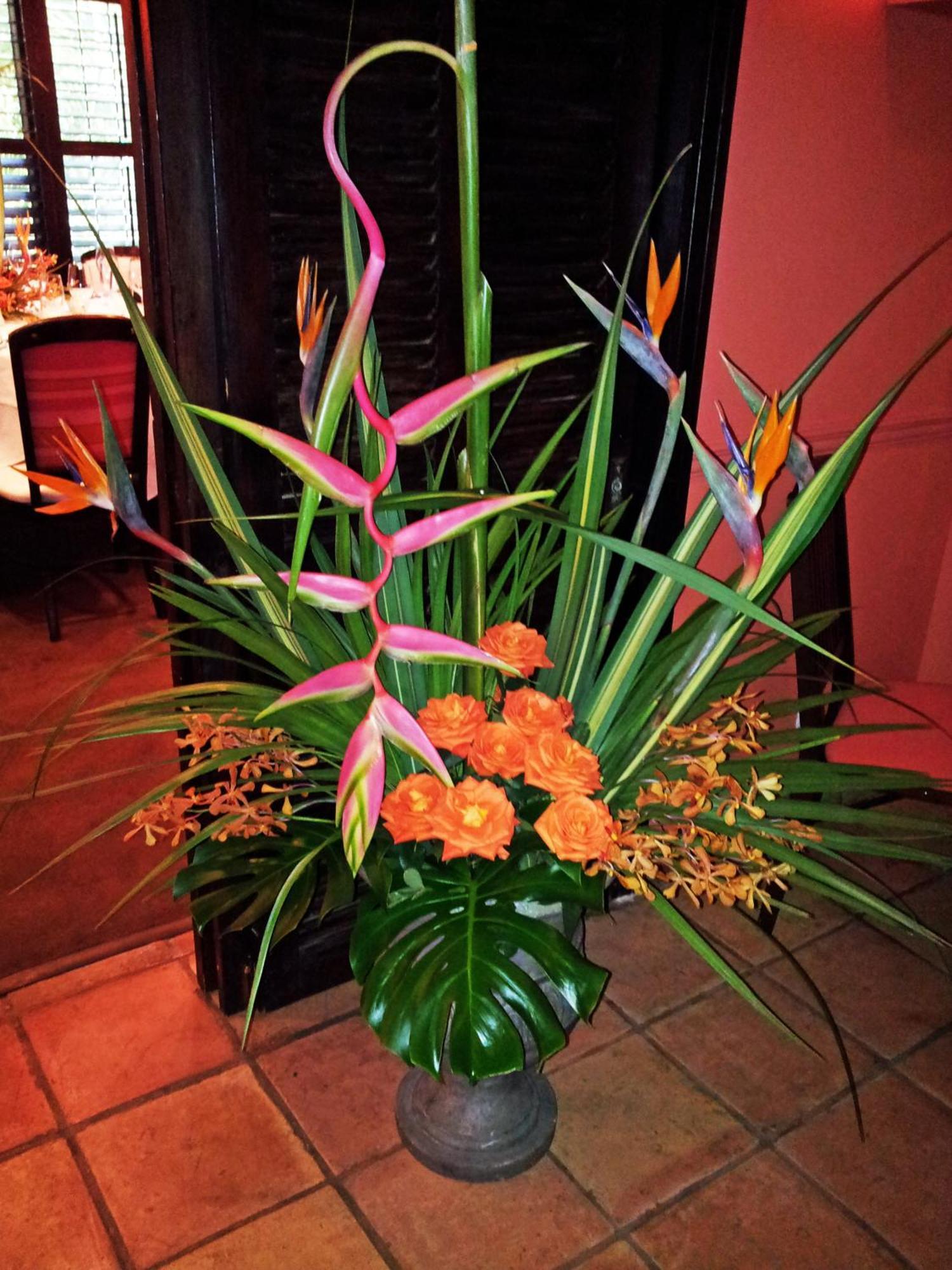 The Caribbean Court Boutique Hotel Vero Beach Pokoj fotografie