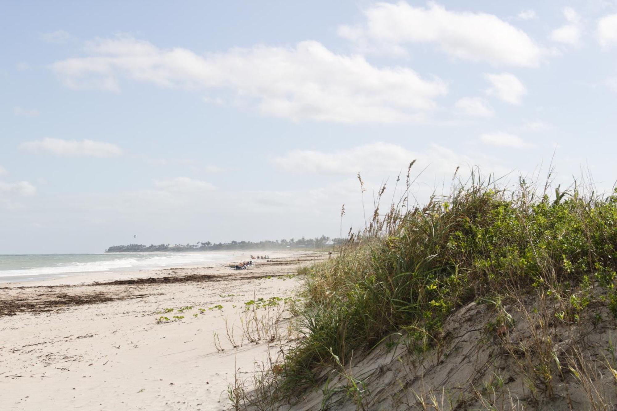 The Caribbean Court Boutique Hotel Vero Beach Exteriér fotografie